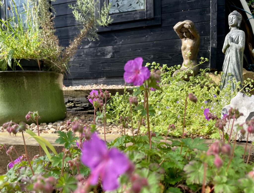 purple flowers outside of cabin bloom statues 